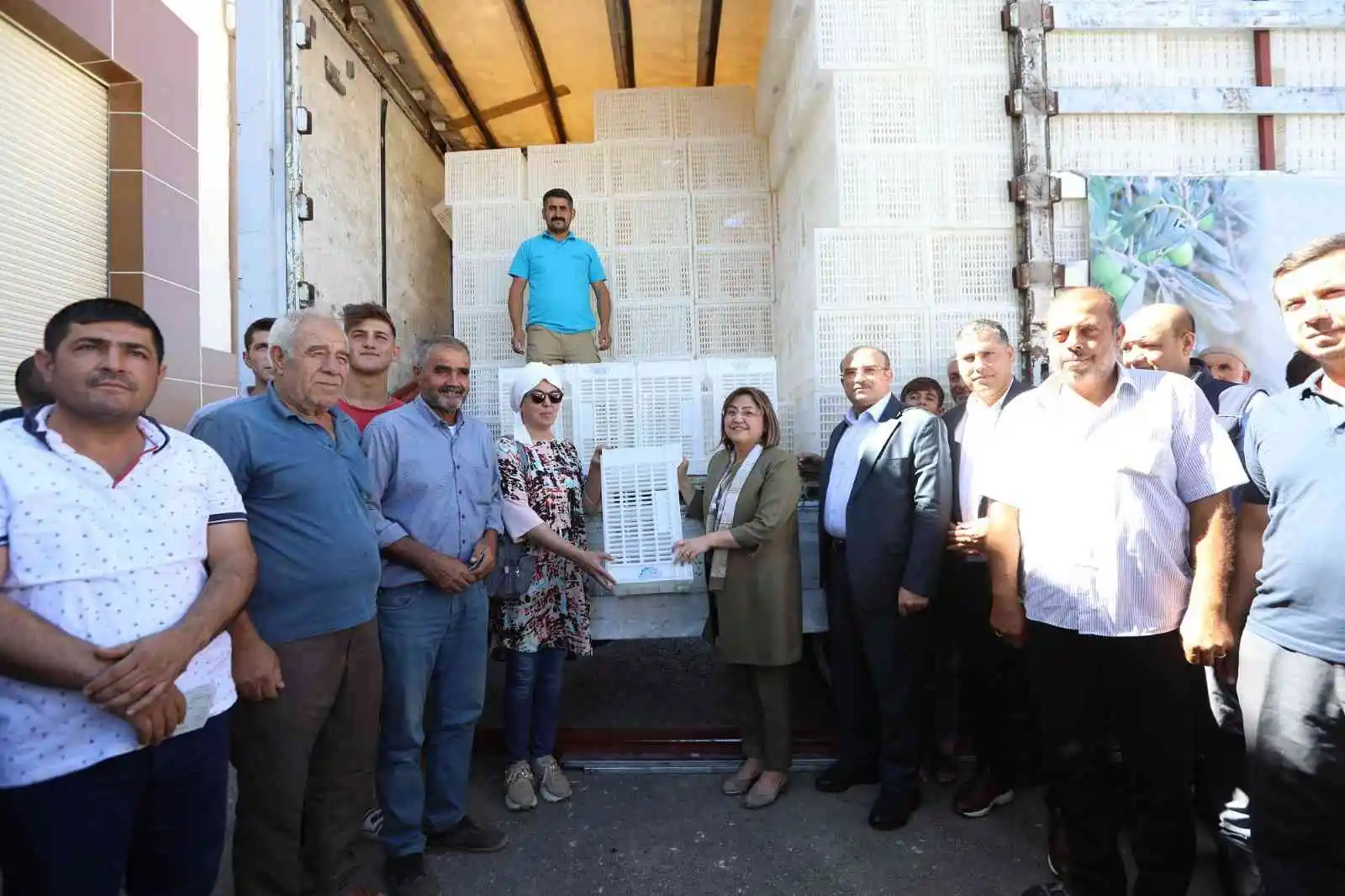 Gaziantep'te zeytin üreticilerine 40 bin hasat kasası dağıtılacak
