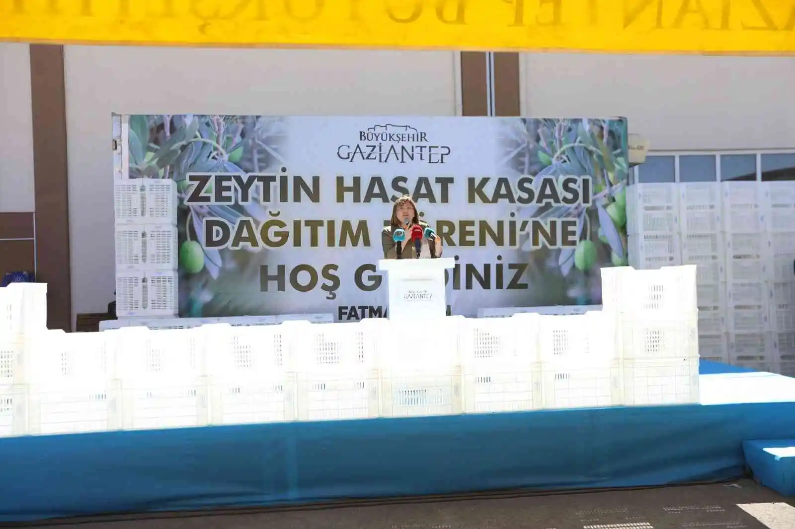 Gaziantep’te zeytin üreticilerine 40 bin hasat kasası dağıtılacak
