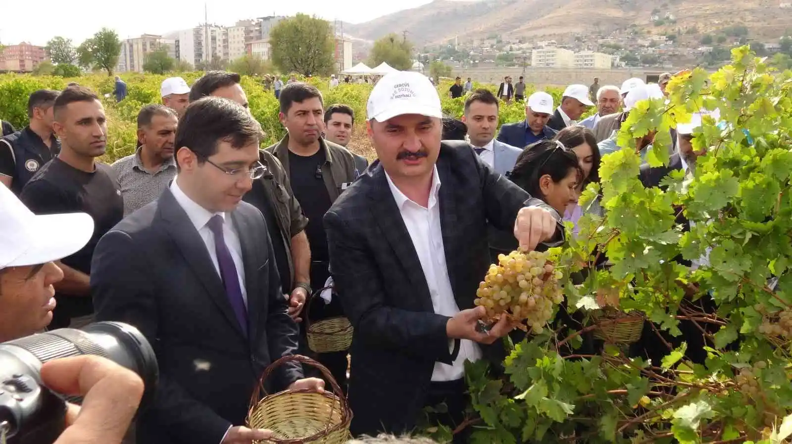 Gercüş’te bağ bozumu festivali düzenlendi
