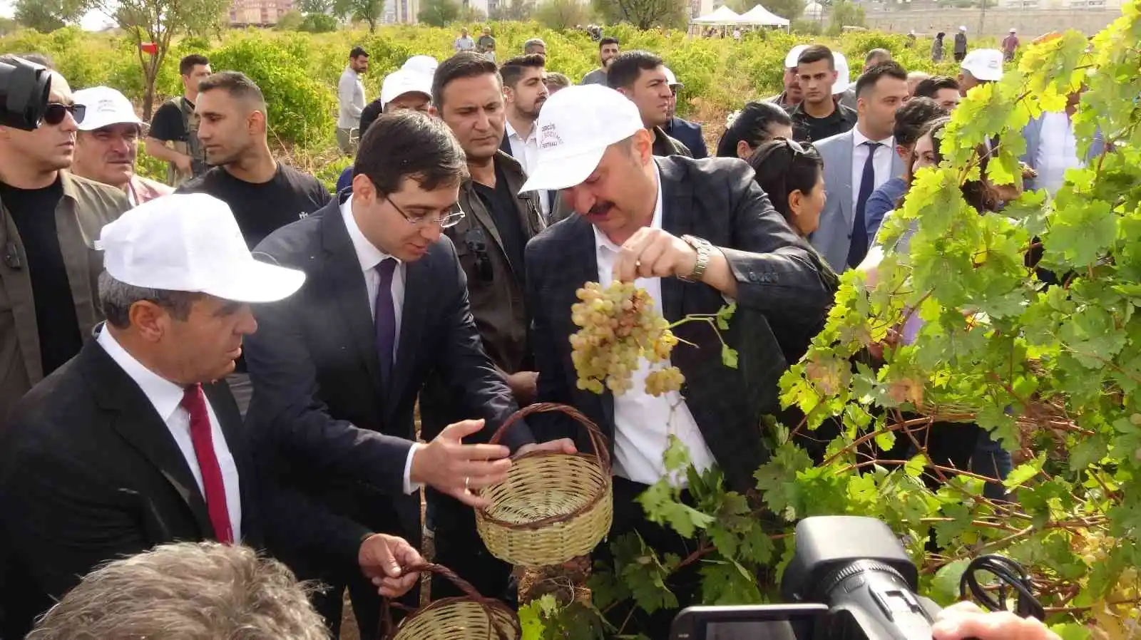 Gercüş’te bağ bozumu festivali düzenlendi
