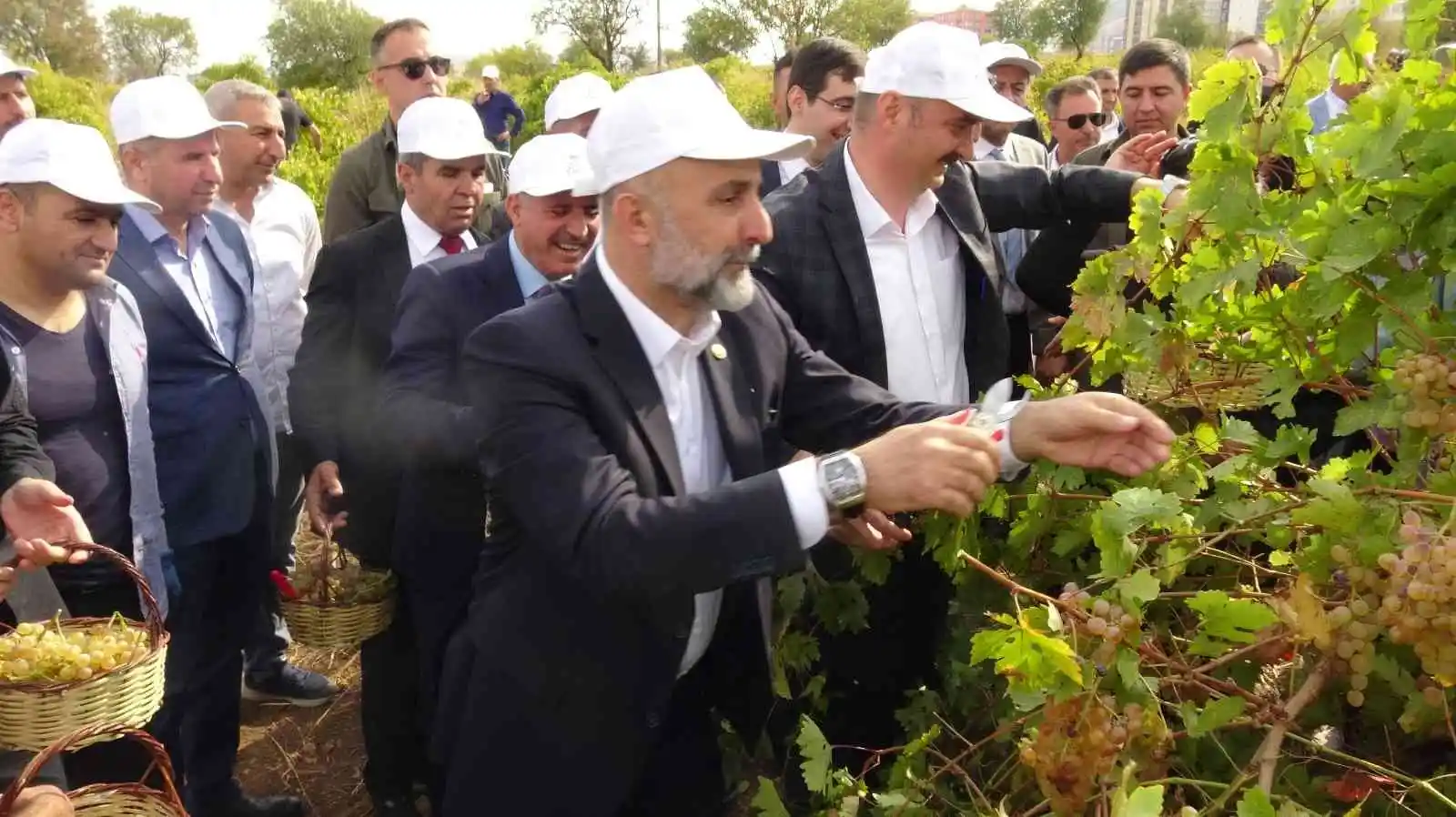 Gercüş’te bağ bozumu festivali düzenlendi
