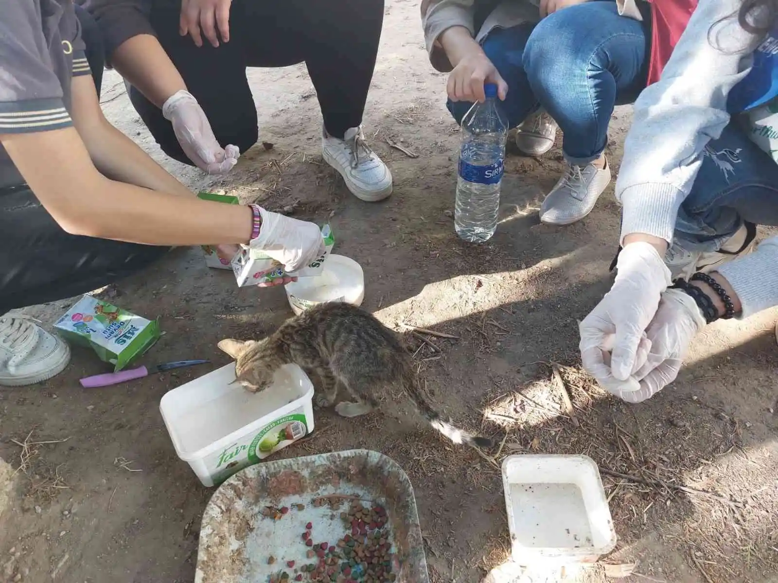Germencikli gençler sokak hayvanlarını unutmadı