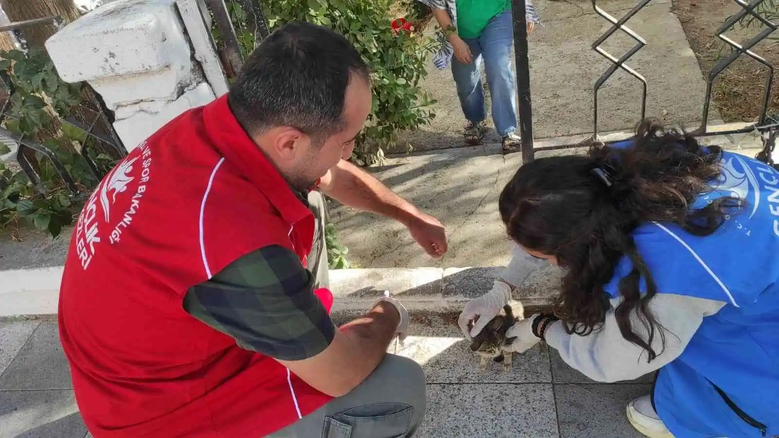 Germencikli gençler sokak hayvanlarını unutmadı