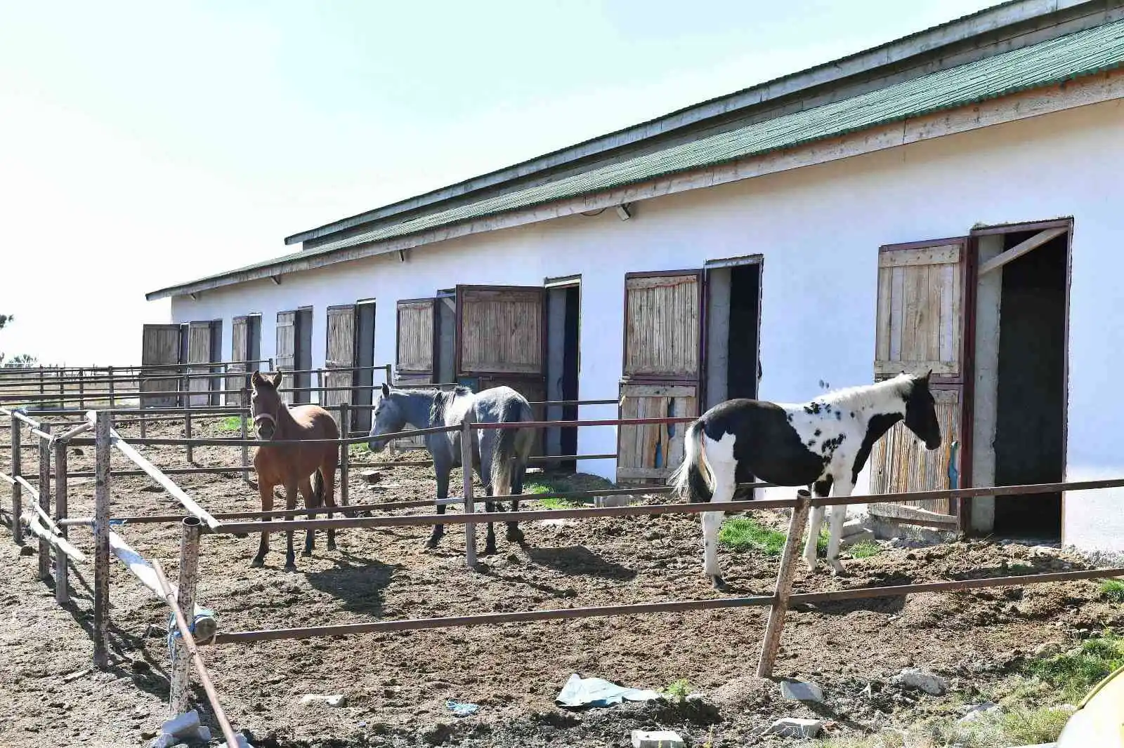 Hacıkadın Şehir Ormanı, Ankaralılarla buluşuyor
