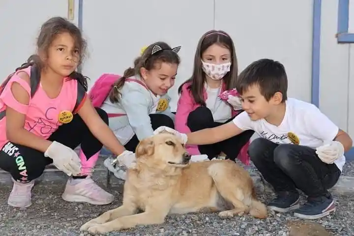 Hayvanları Koruma Günü’nde ‘hayvan mezarlığı’ müjdesi
