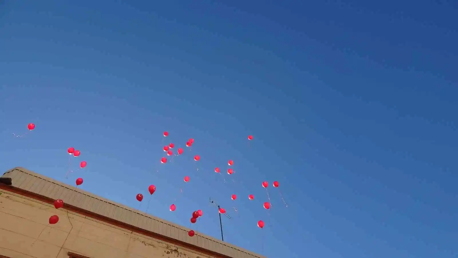 HDP önünde evlat nöbeti tutan aile sayısı 319’a yükseldi