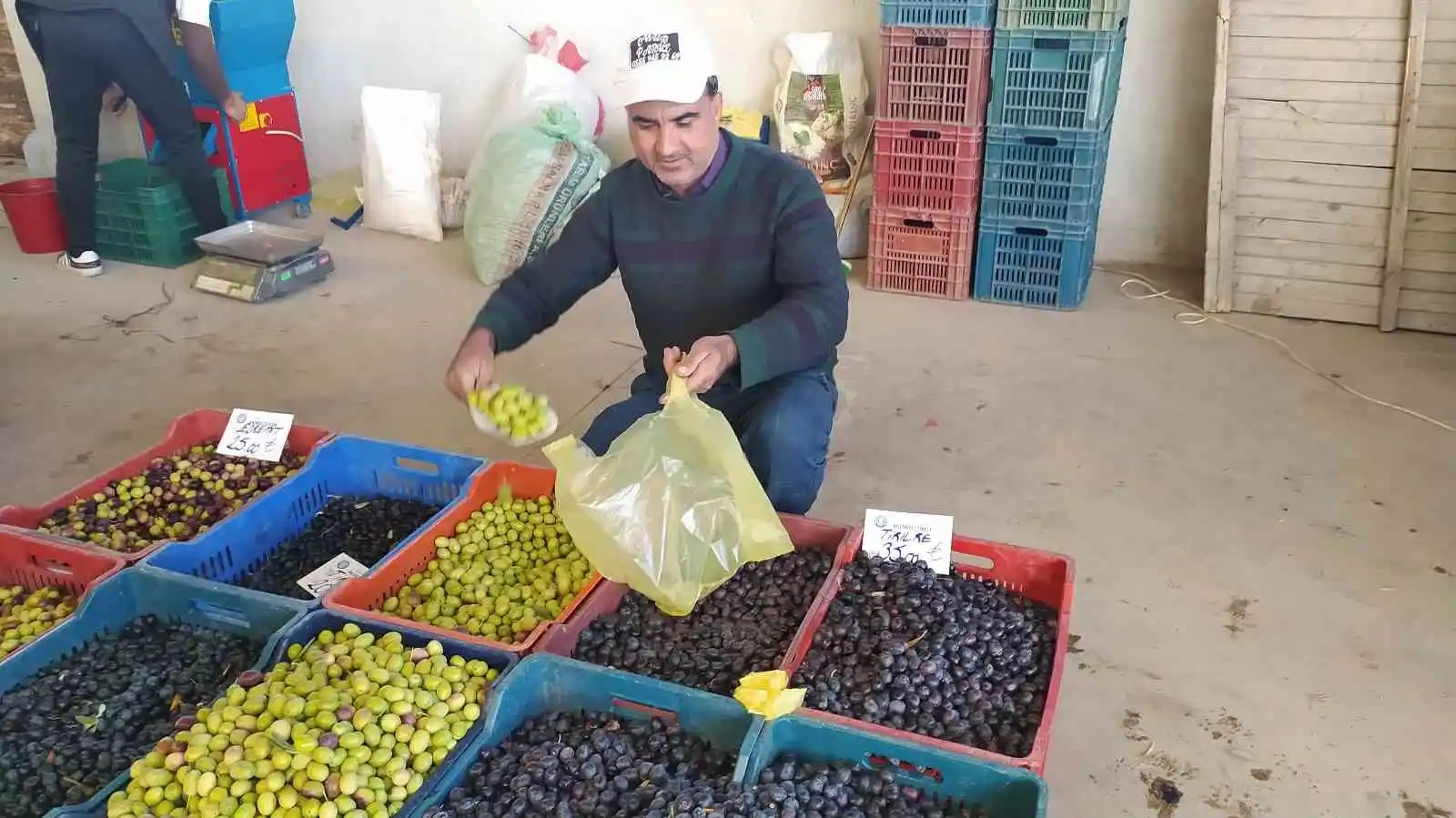 Hisarcık halkı salamura zeytin yapımına yöneldi
