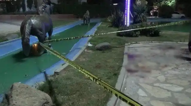 İzmir’de iki grup arasında köpek kavgası: Bir kişi cam şişe ile boğazından yaralandı
