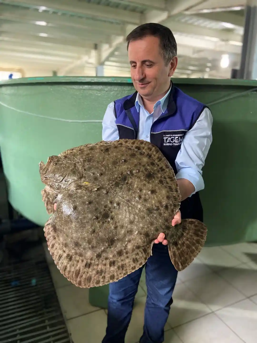 İzmit Körfezi için kalkan yavruları üretildi
