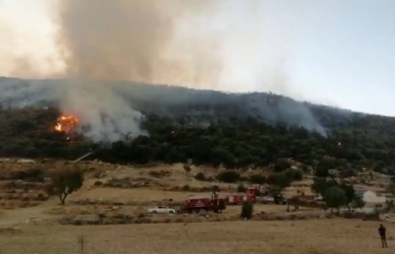 Kaş'ta orman yangını kontrol altına alındı