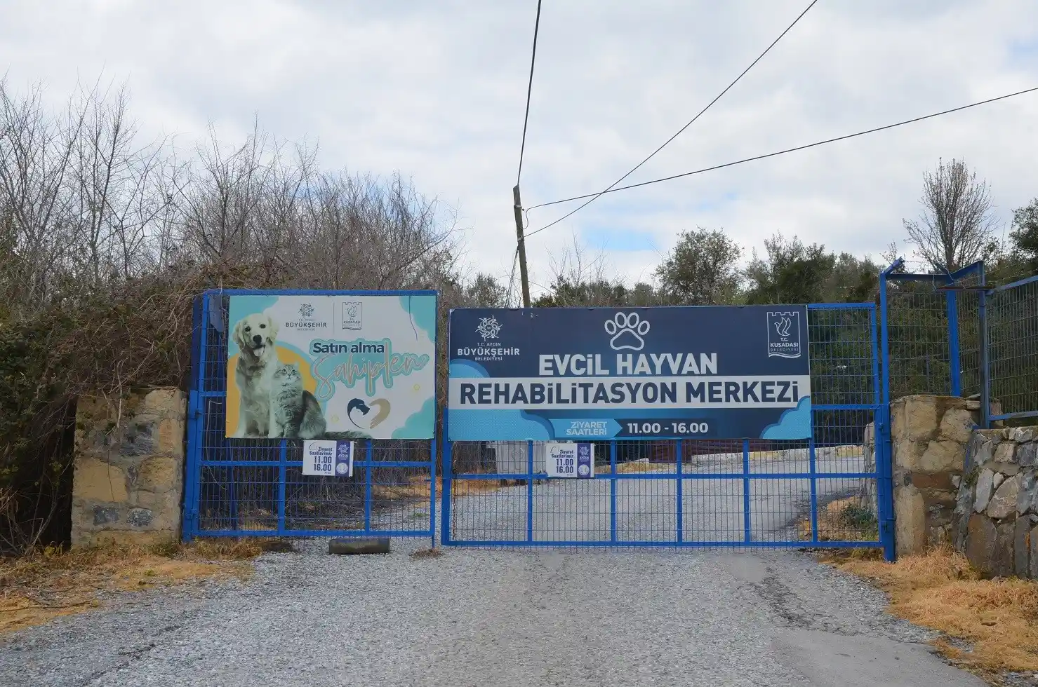 Kuşadası’nda can dostlar ’Haybulans’lara emanet
