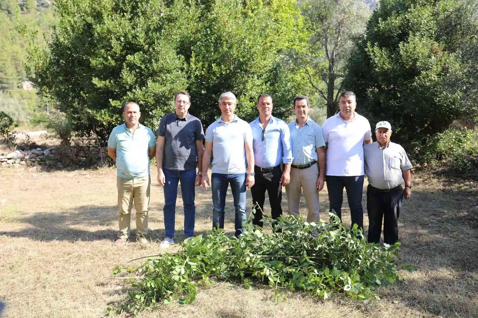 Marmaris Belediyesi'nden defne atağı
