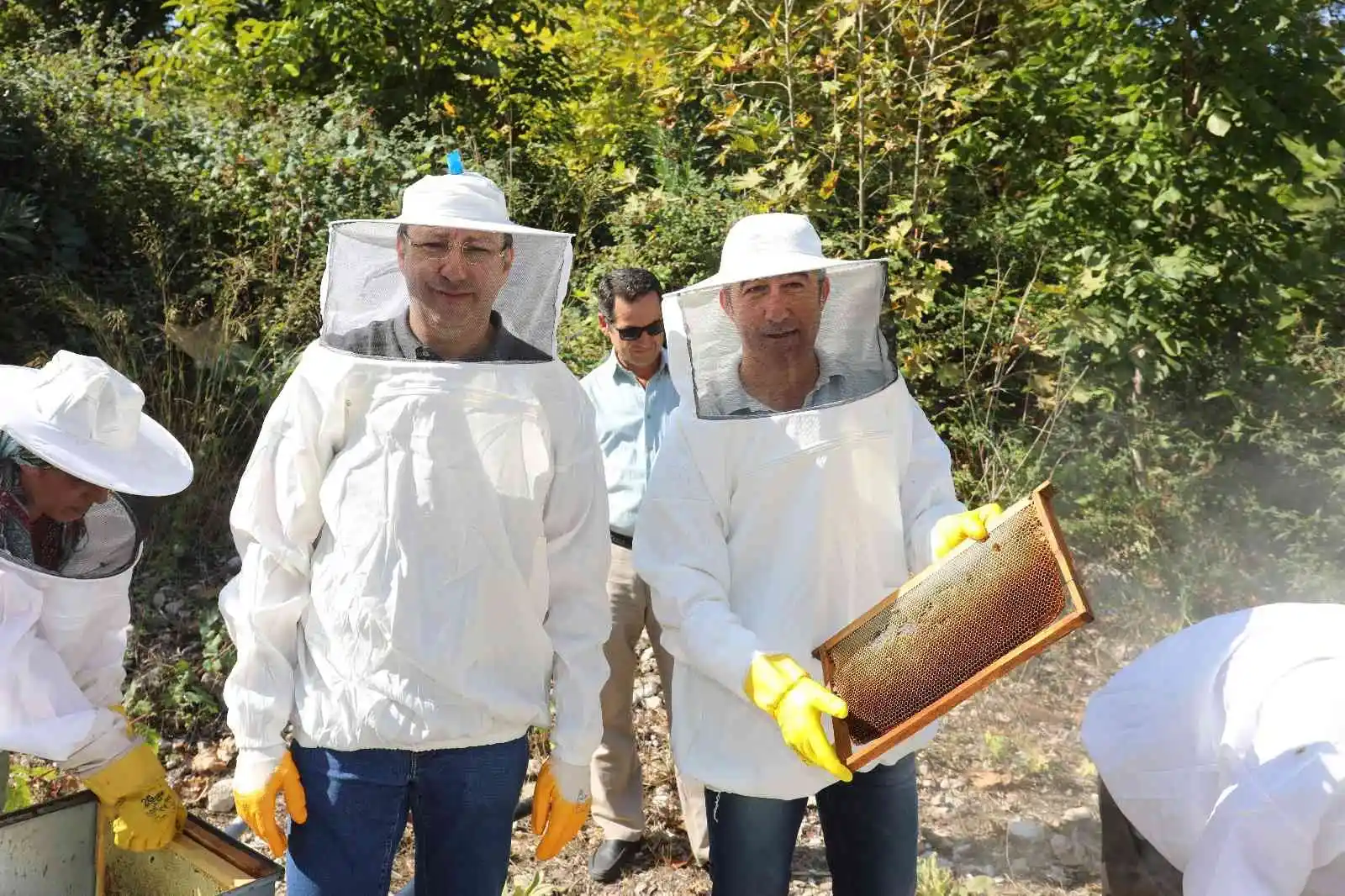 Marmaris Belediyesi’nden defne atağı
