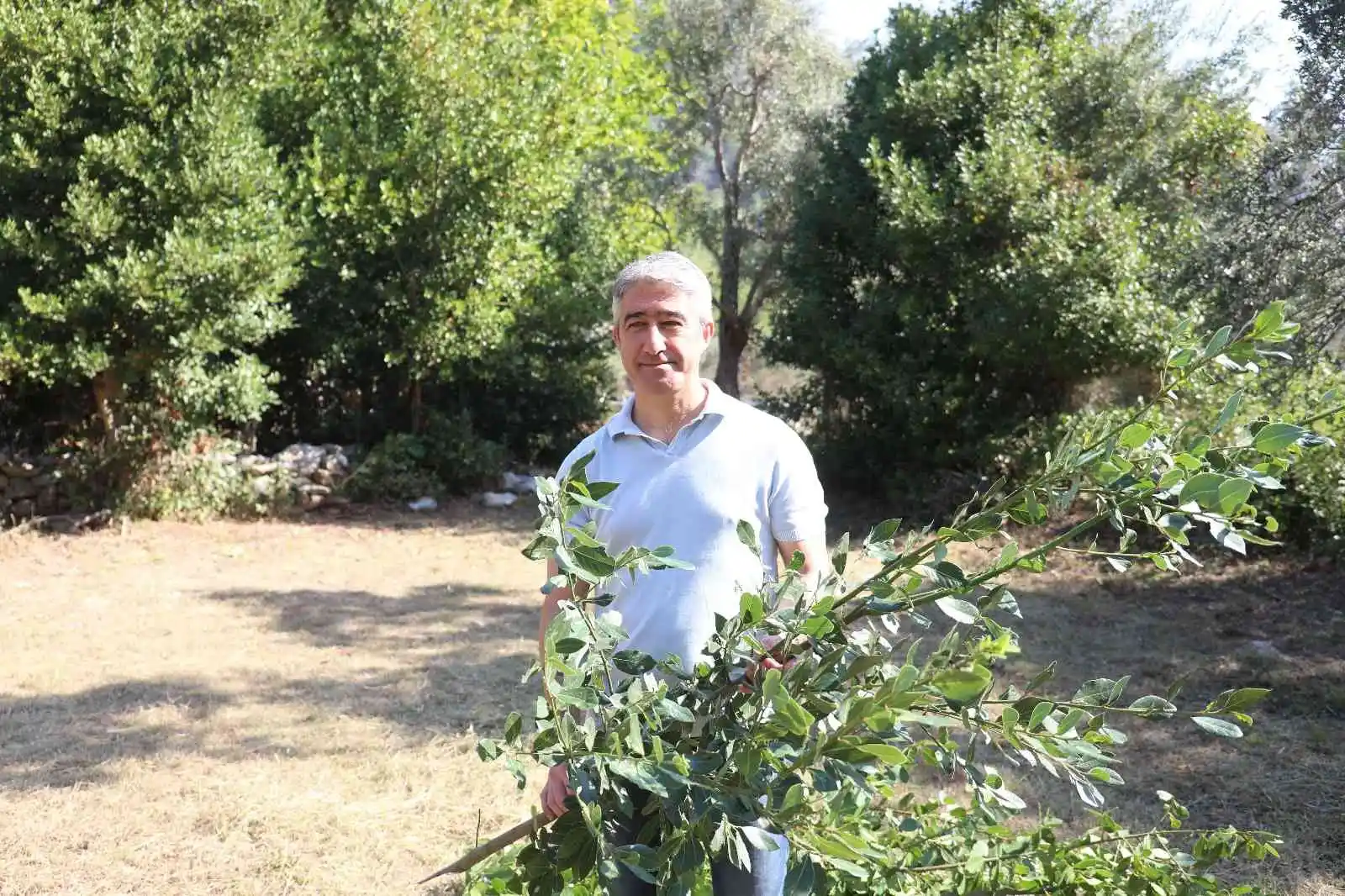 Marmaris Belediyesi’nden defne atağı
