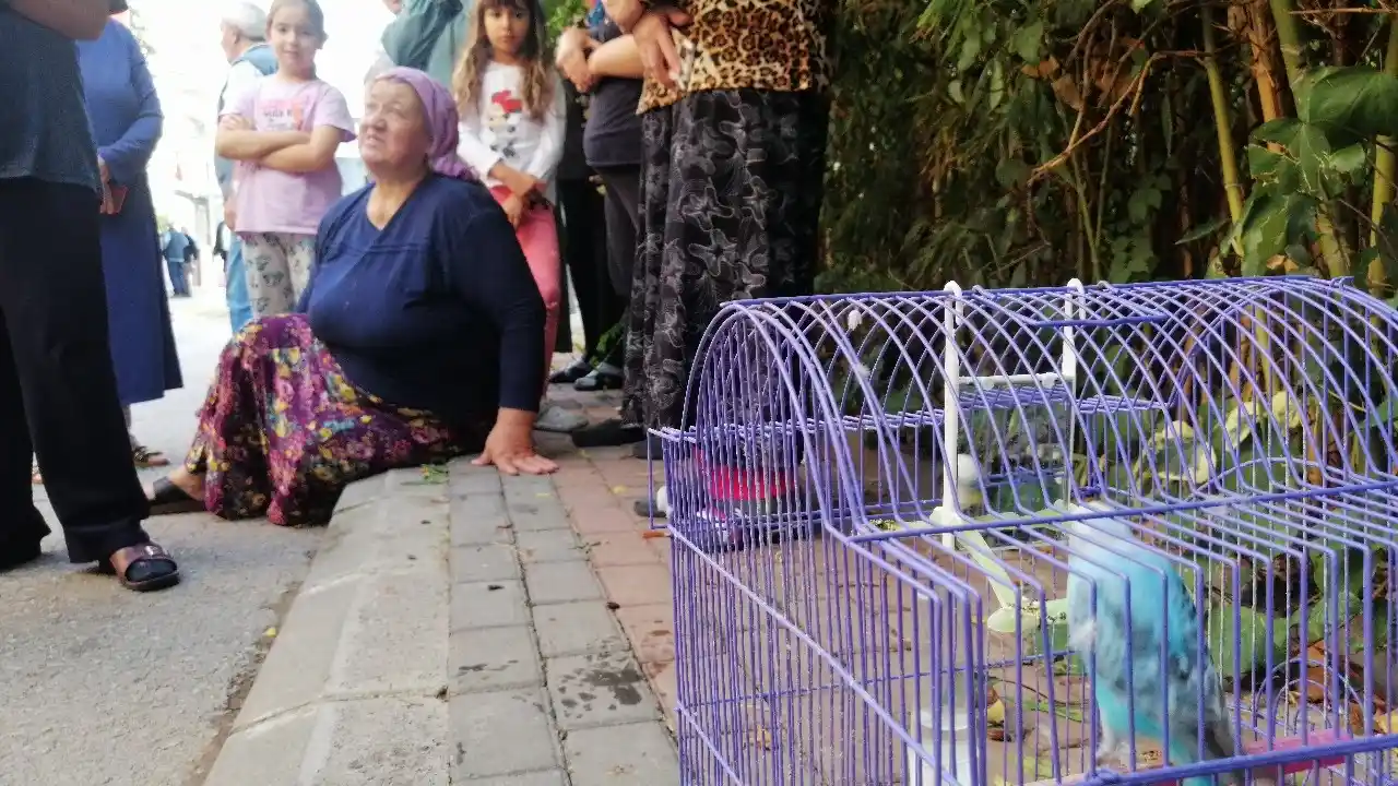 Muhabbet kuşunu yangından itfaiye ekipleri kurtardı
