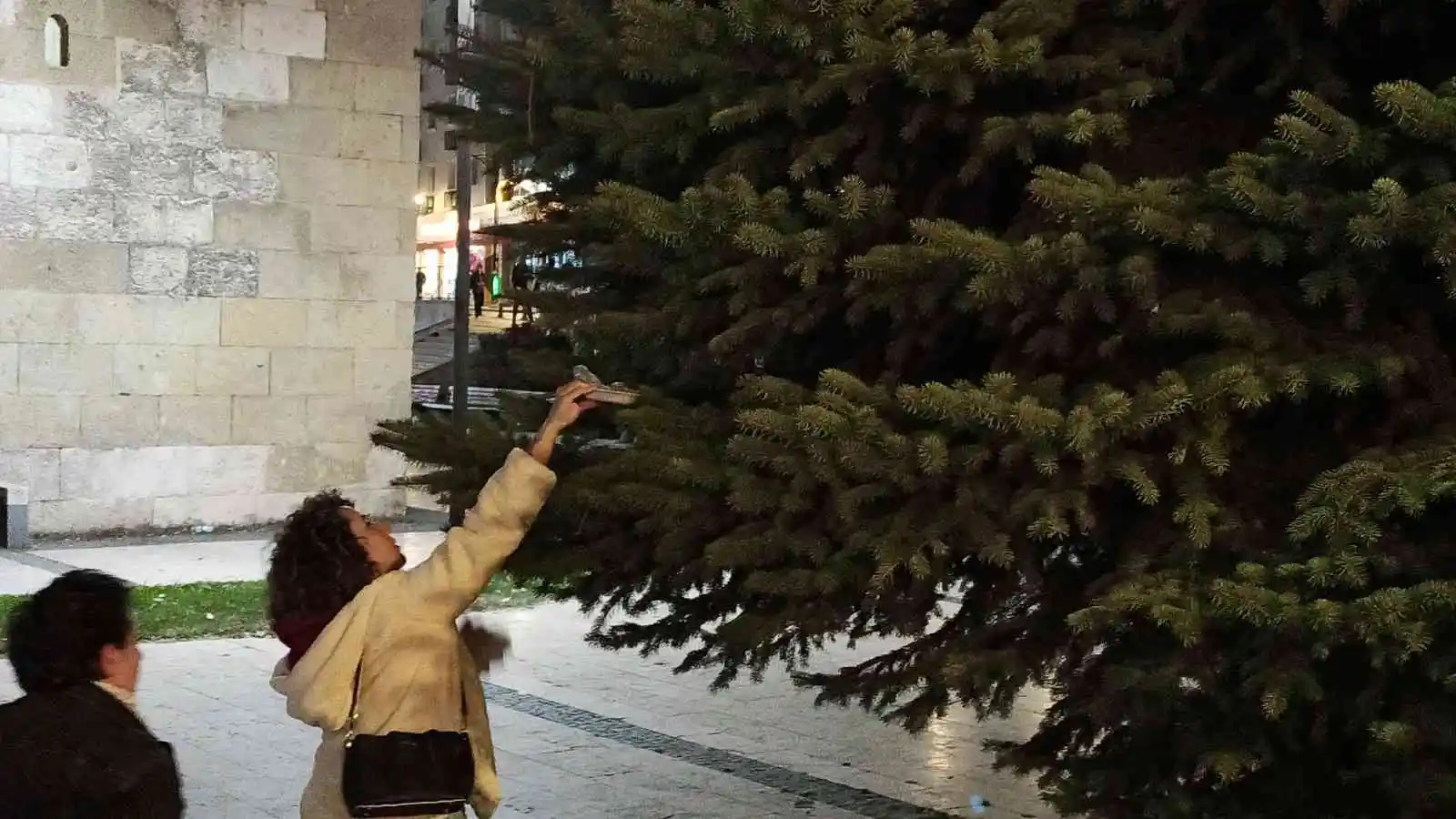 Ne döner ne kedi sesi ağaçtan indiremedi