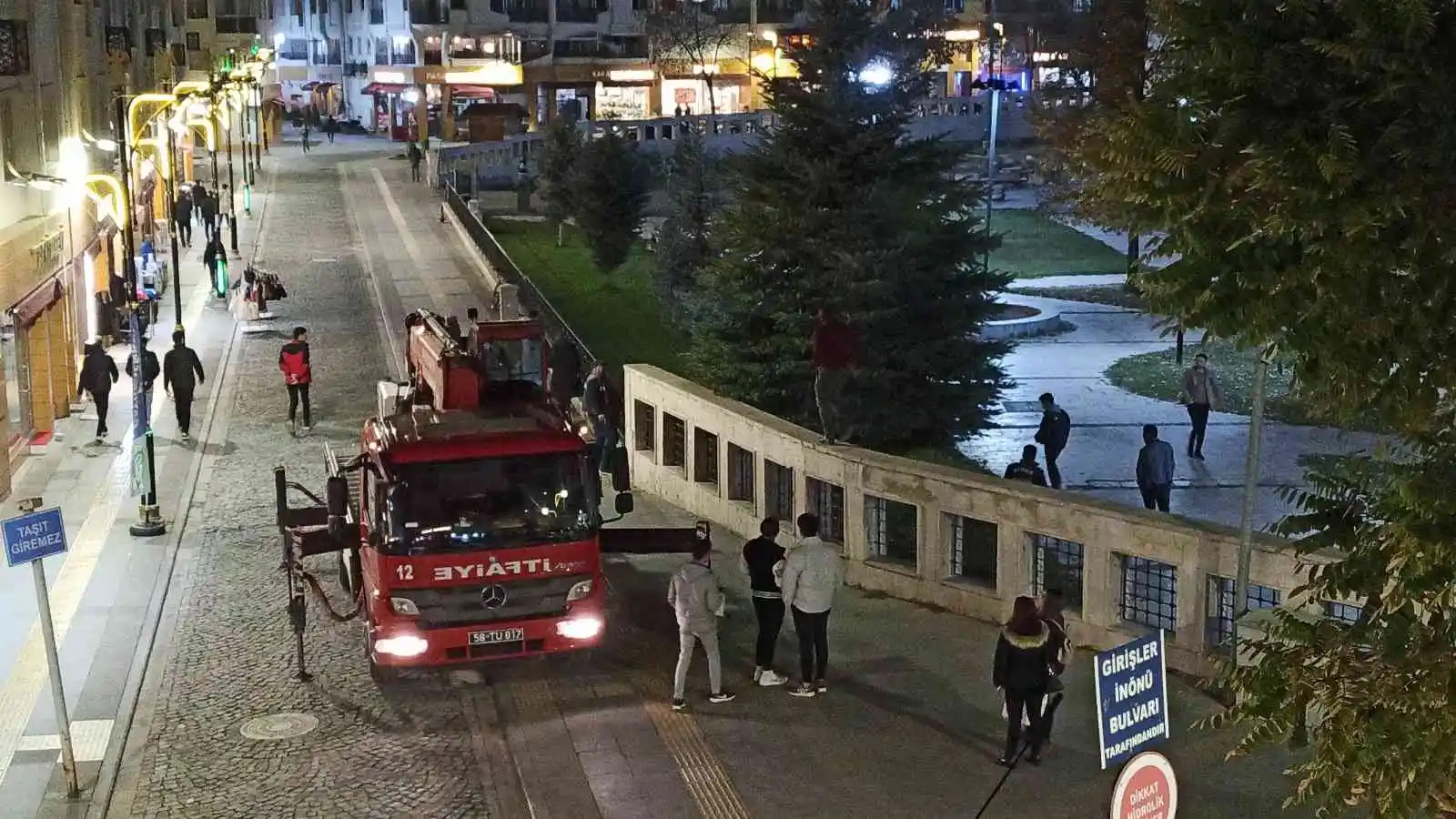 Ne döner ne kedi sesi ağaçtan indiremedi