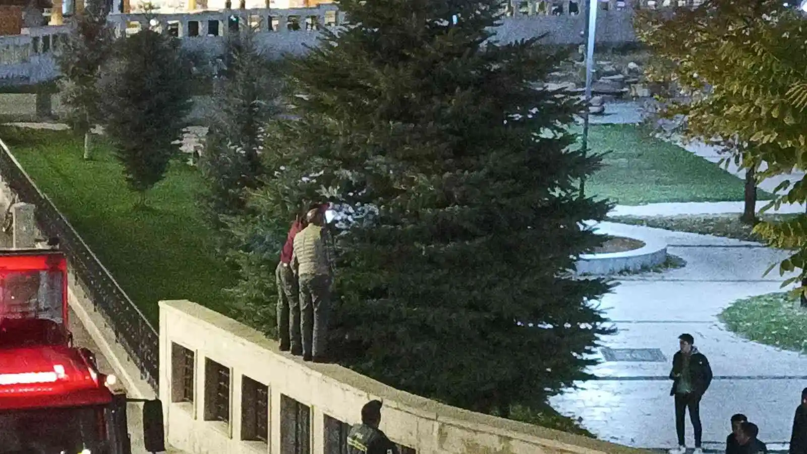 Ne döner ne kedi sesi ağaçtan indiremedi