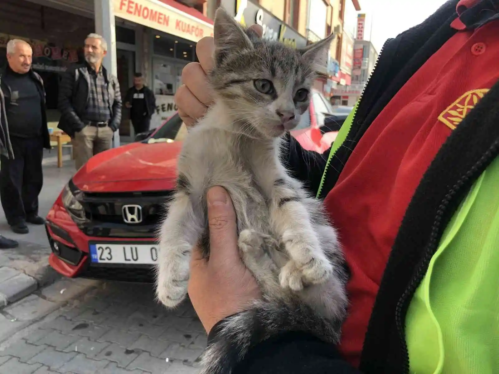 Otomobilin motor kısmına giren yavru kedi kurtarıldı
