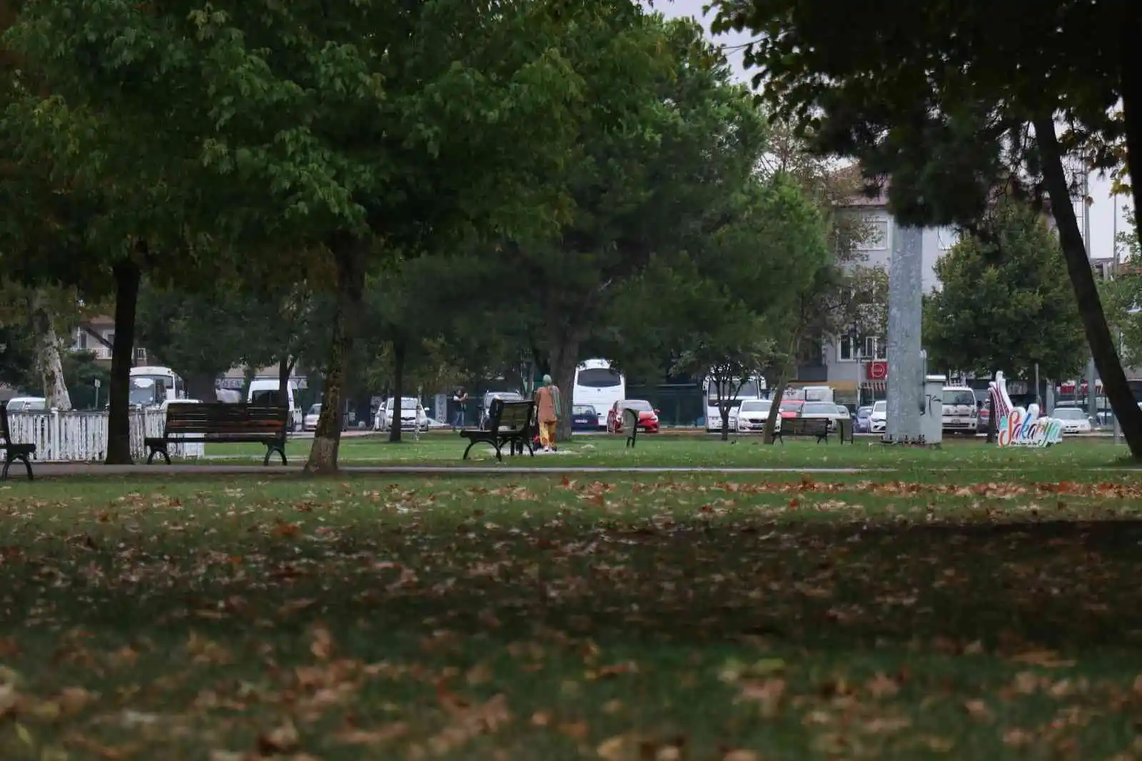 Sakarya’da sonbahar manzarası
