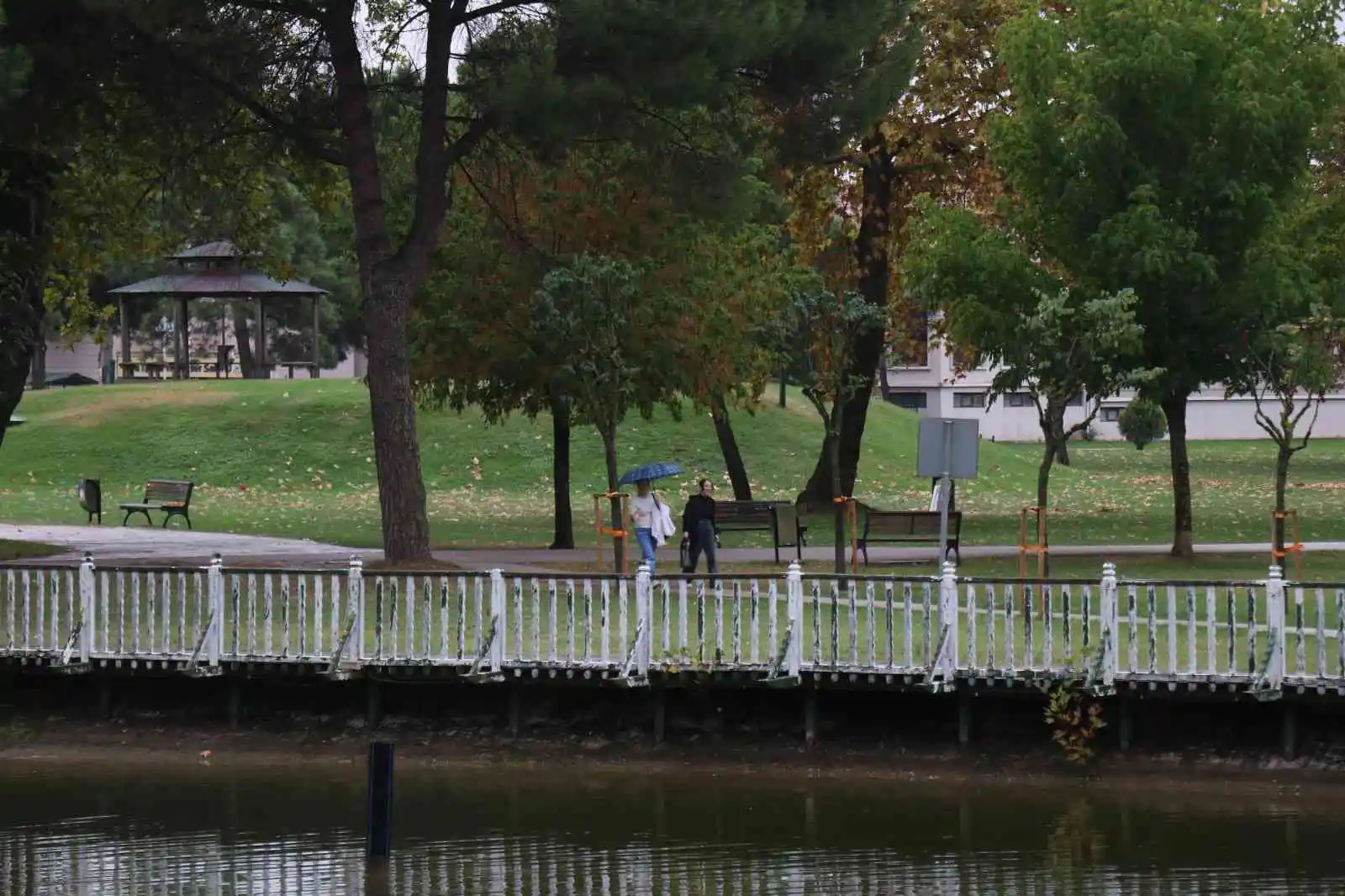 Sakarya’da sonbahar manzarası
