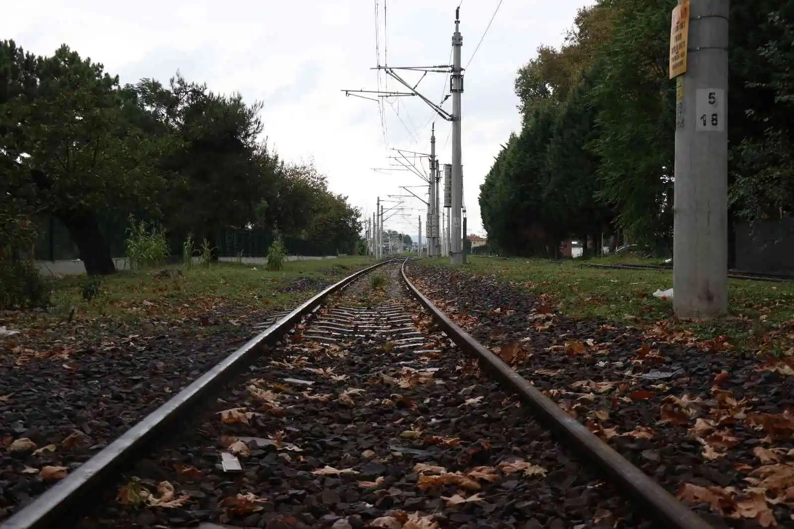 Sakarya’da sonbahar manzarası
