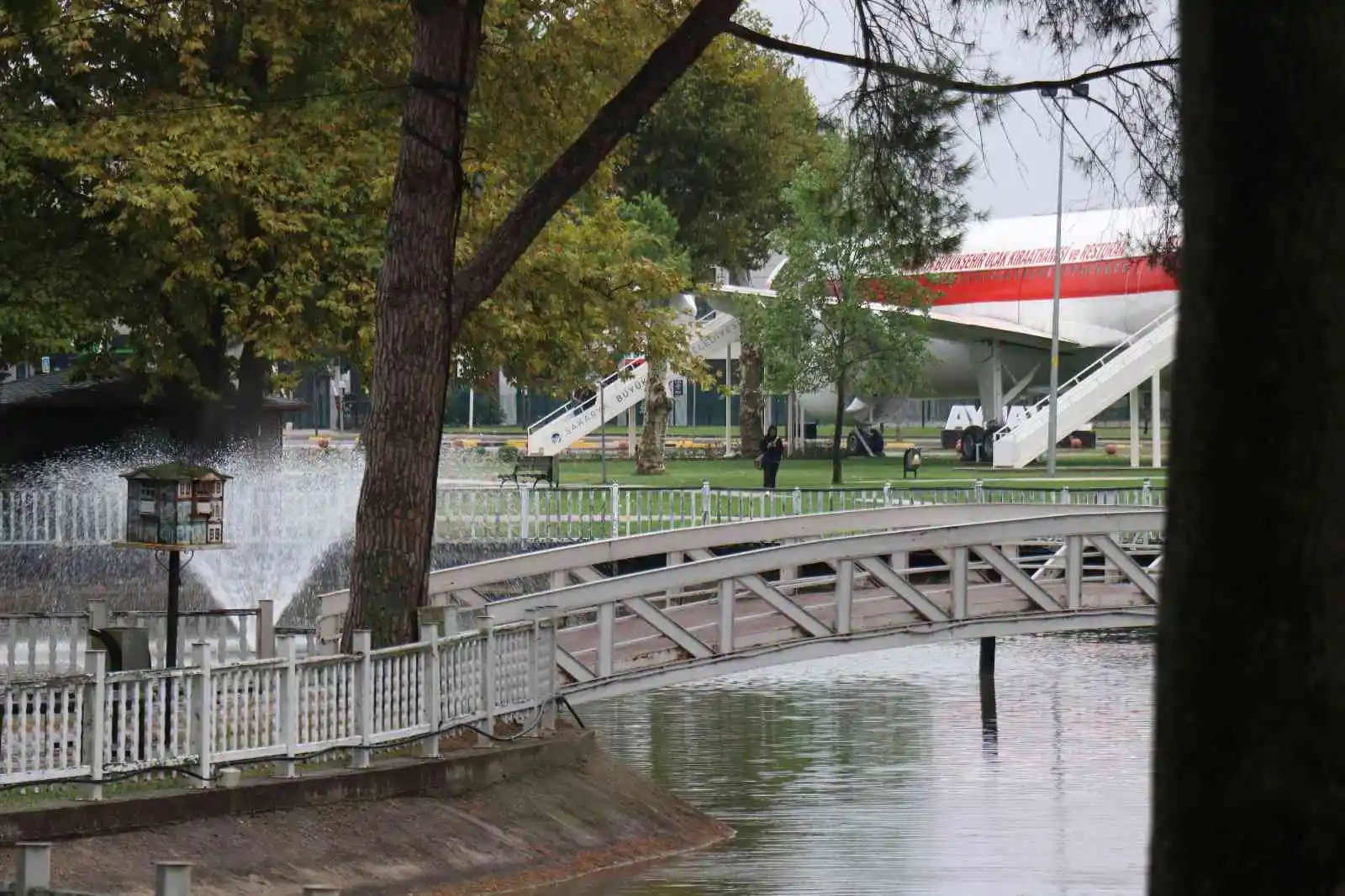 Sakarya’da sonbahar manzarası
