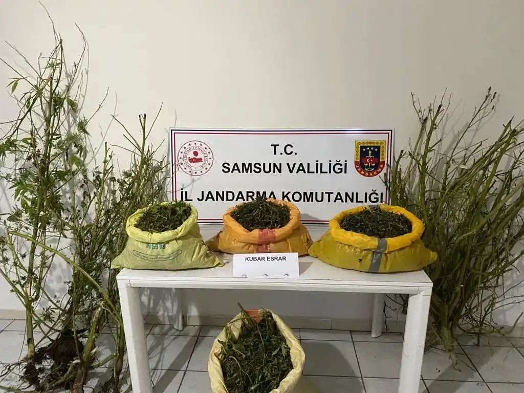 Samsun'da 25 kilo 750 gram kubar esrar ele geçirildi