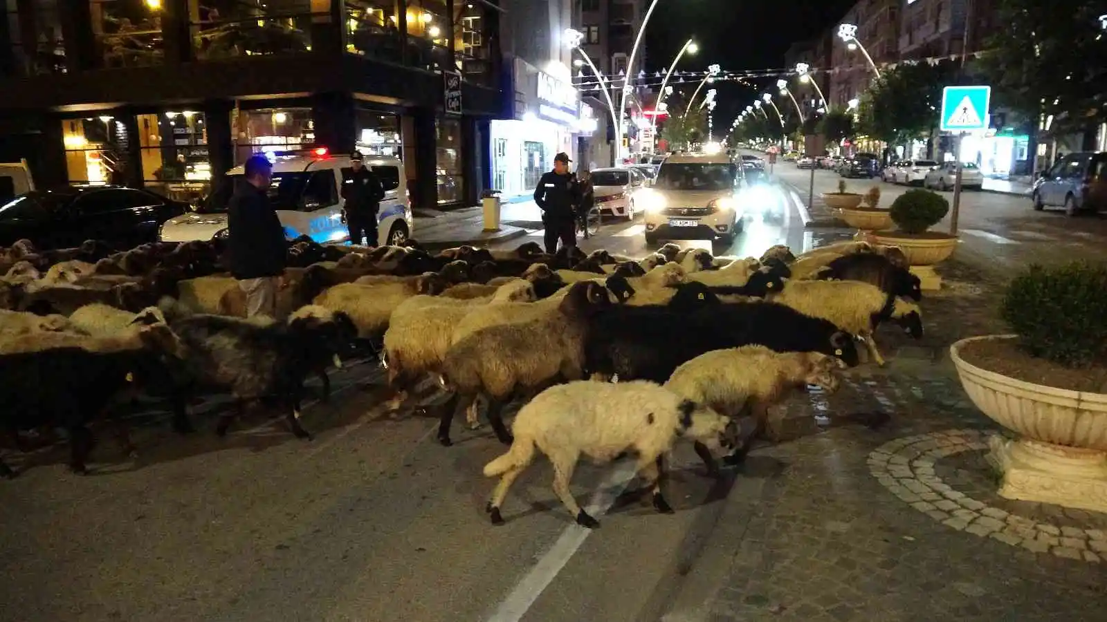 Şehir merkezinden koyun sürüsü geçti, trafik durdu