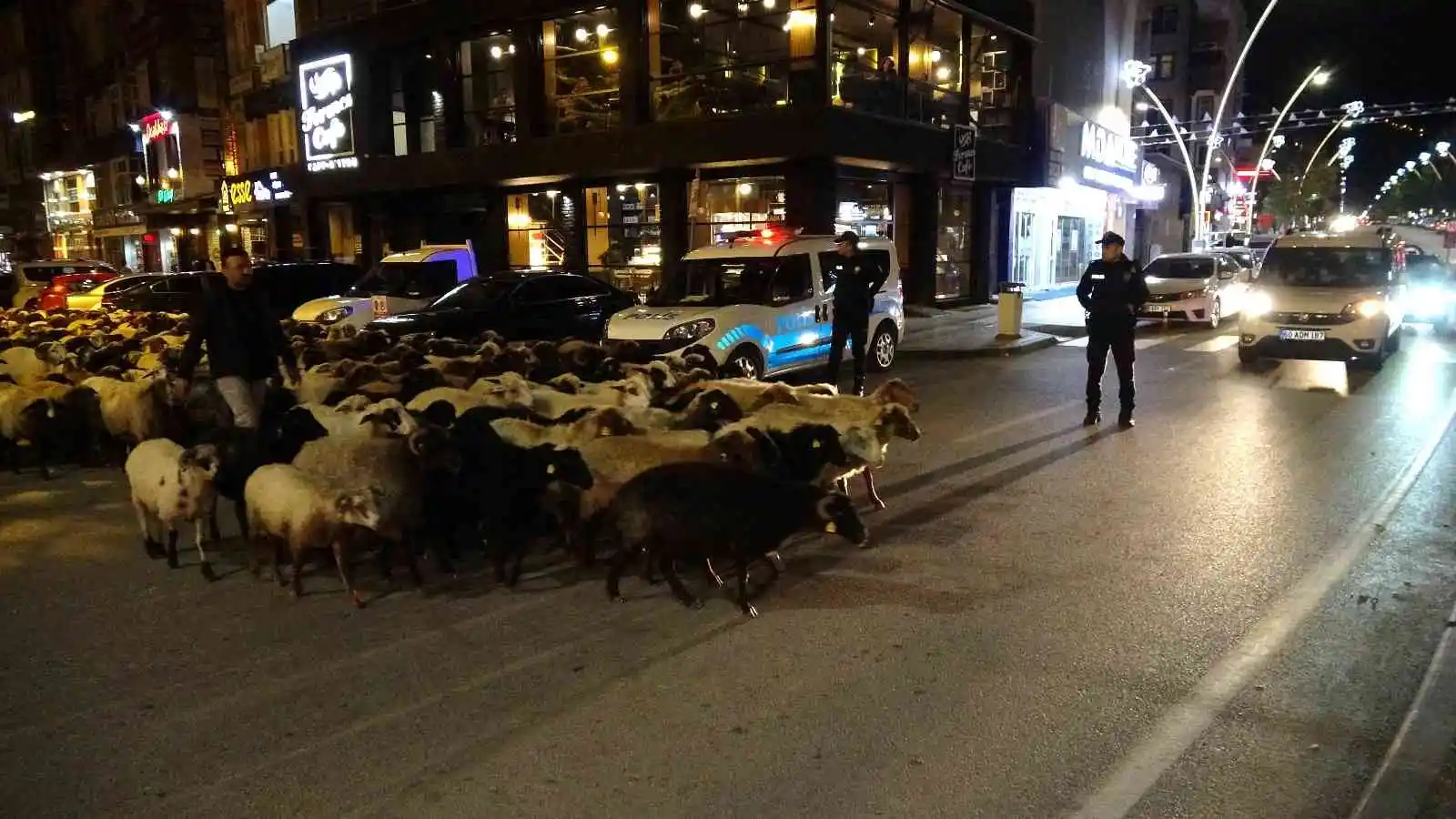Şehir merkezinden koyun sürüsü geçti, trafik durdu