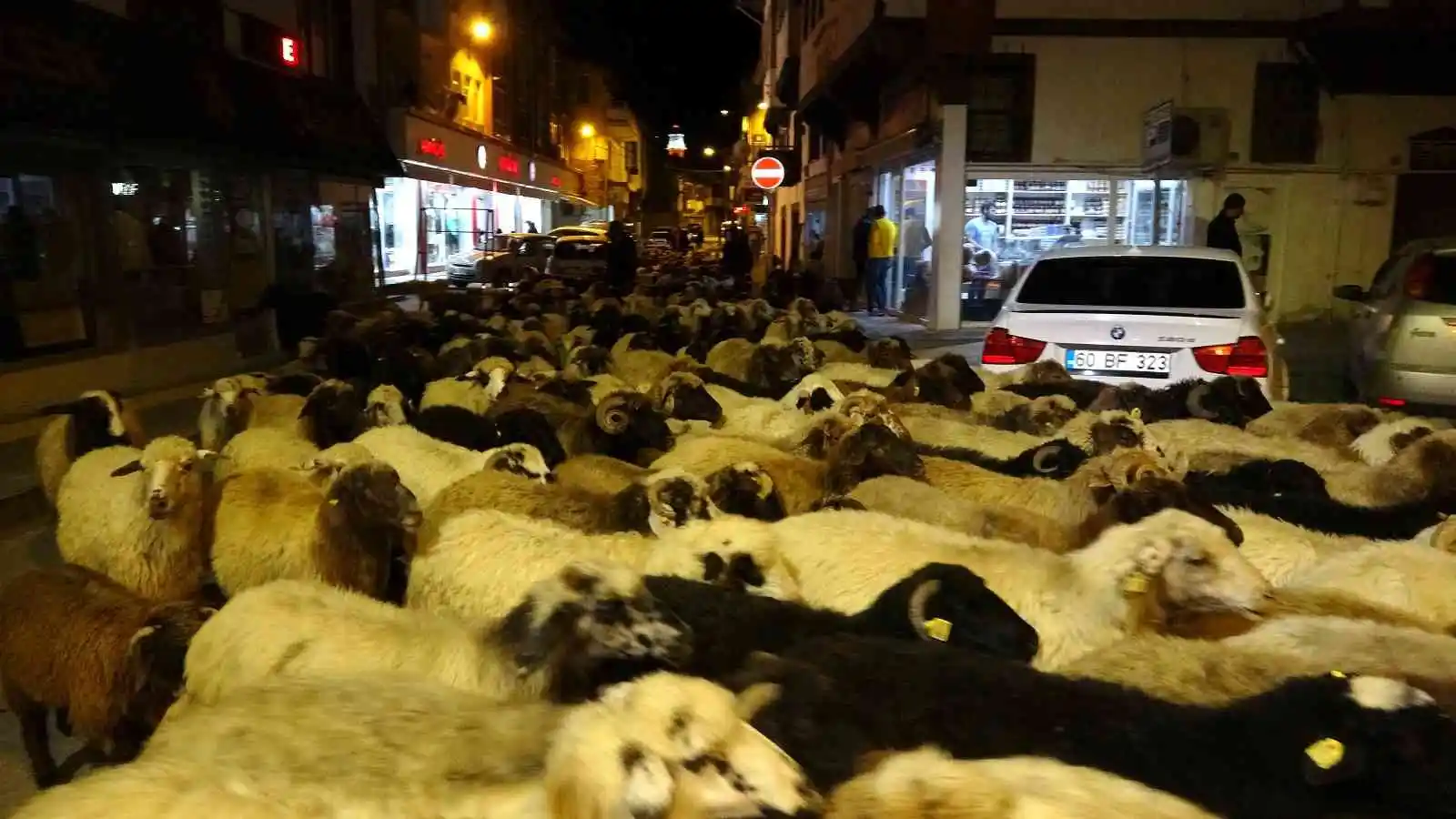 Şehir merkezinden koyun sürüsü geçti, trafik durdu