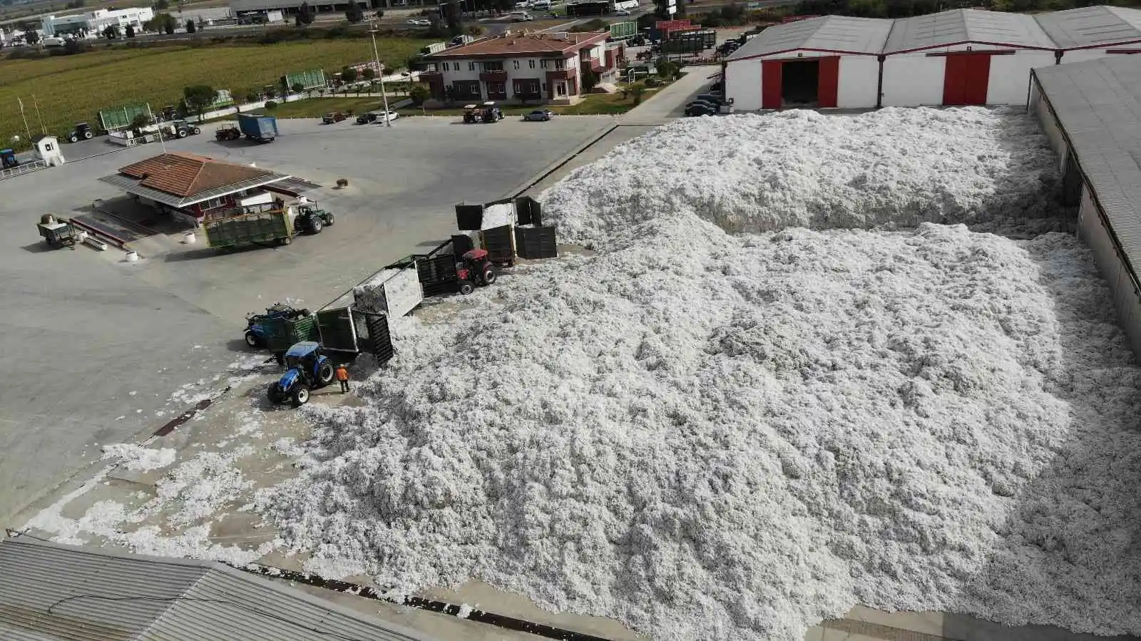 TARİŞ'e rağbet arttı, depolar 10 bin 200 ton pamukla doldu
