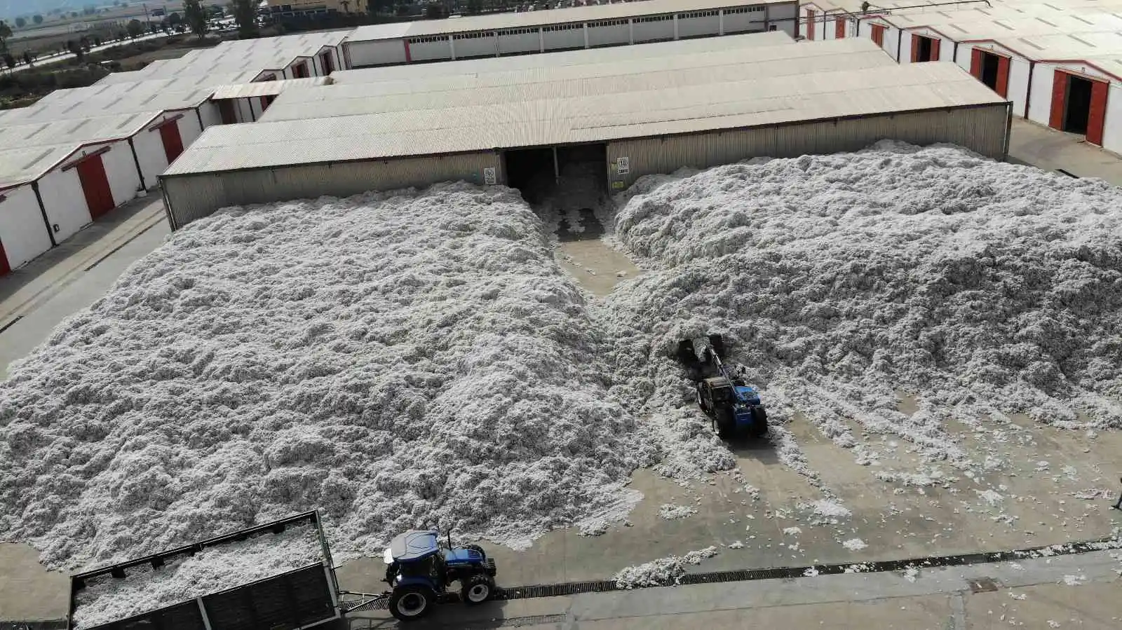 TARİŞ’e rağbet arttı, depolar 10 bin 200 ton pamukla doldu
