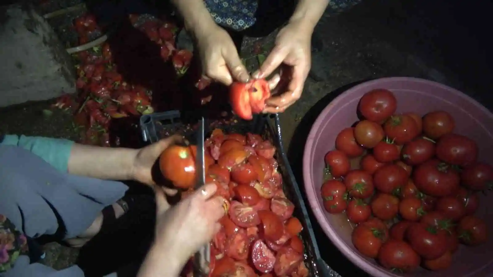 Tatvan’da kış hazırlığında sona gelindi
