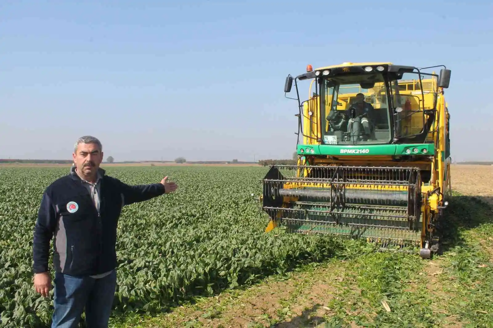 Türkiye'nin ıspanak ihtiyacının dörtte birini Bursa karşılıyor
