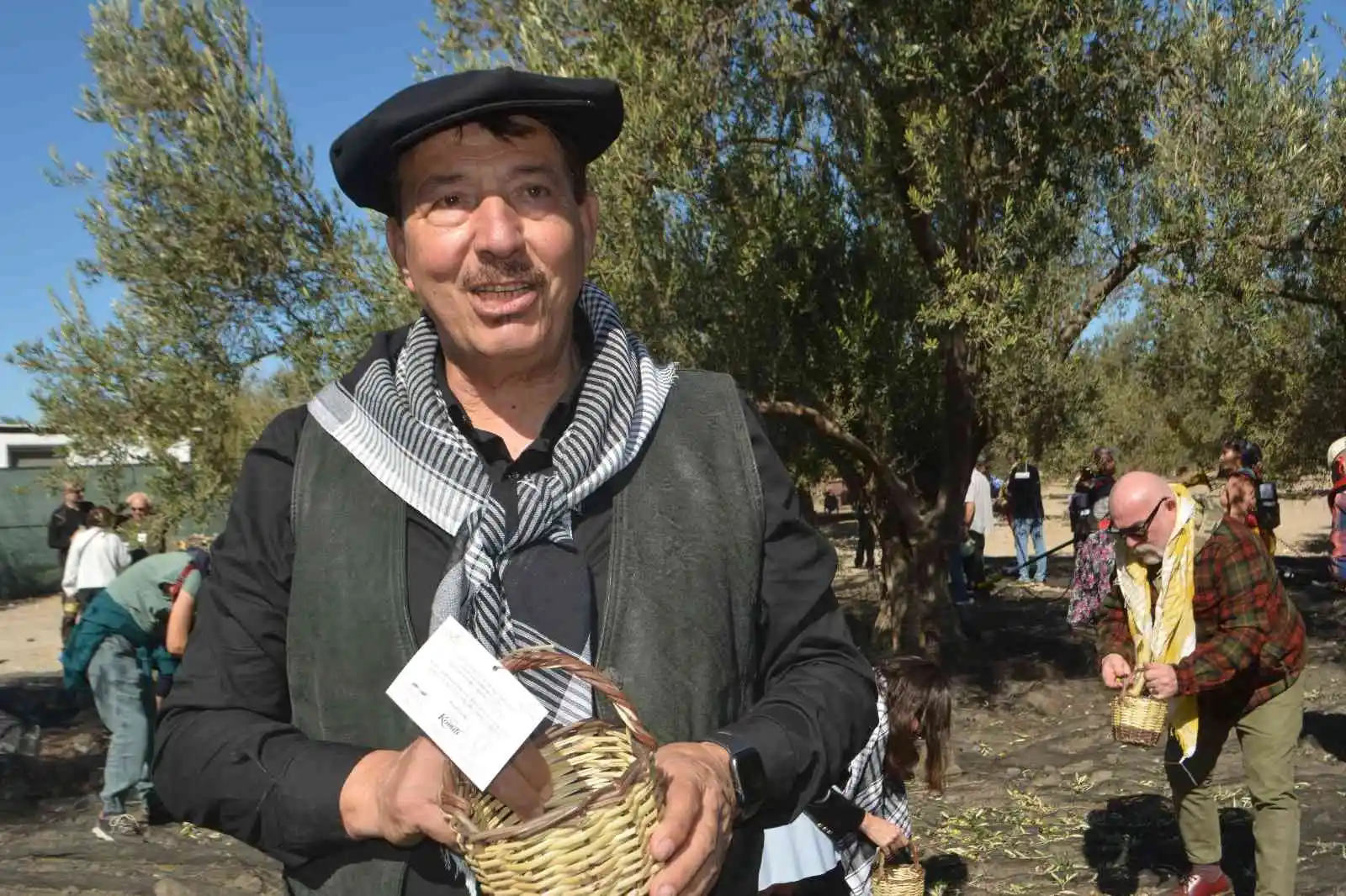 Ünlü sanatçılarla gazeteci ve gurmelerden zeytin hasatı