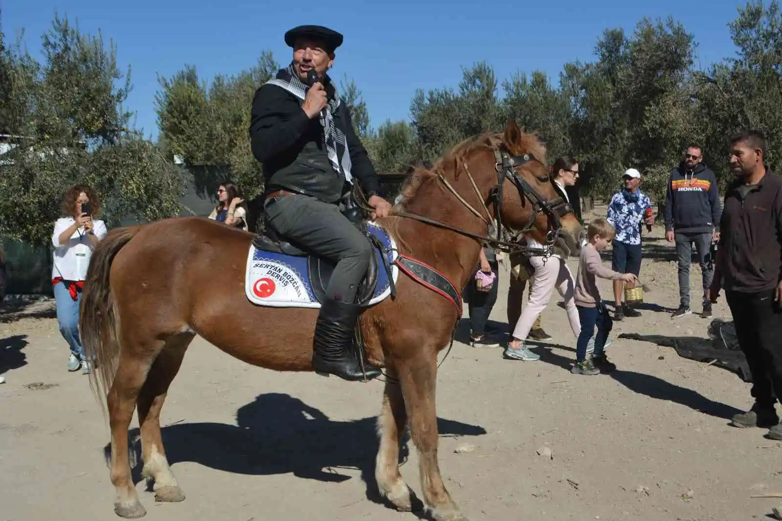 Ünlü sanatçılarla gazeteci ve gurmelerden zeytin hasatı