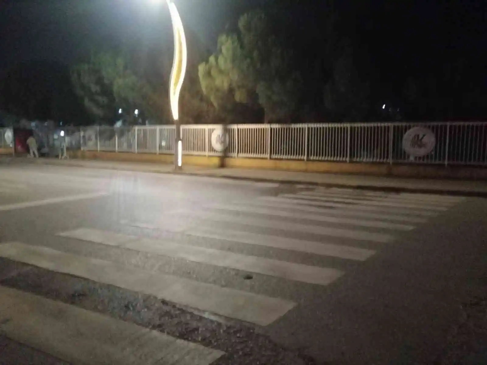 Yaya geçidinde dehşet: