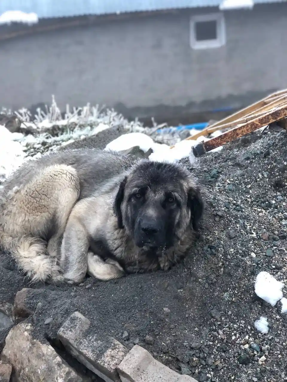 Yüksek kesimlere kar yağdı, hava sıcaklığı sıfırın altına düştü