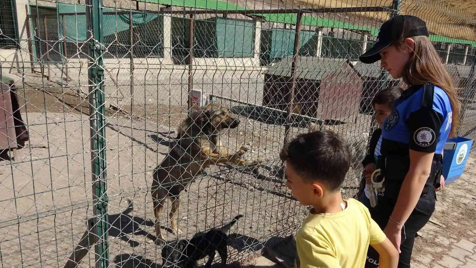 Yüksekova’da 4 Ekim Hayvanları Koruma Günü etkinliği
