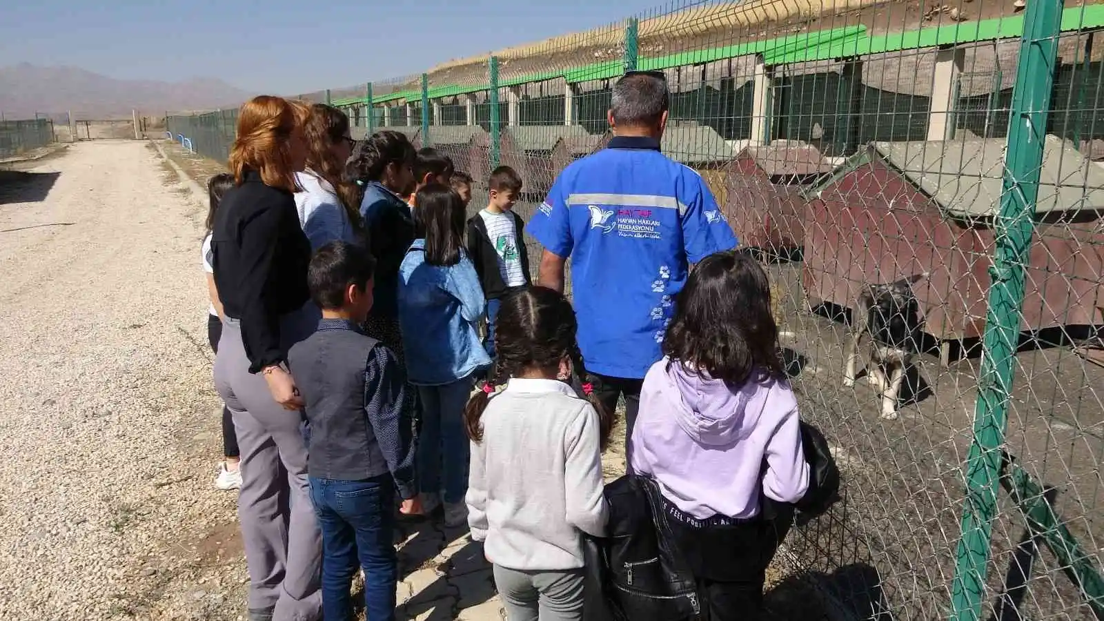 Yüksekova’da 4 Ekim Hayvanları Koruma Günü etkinliği
