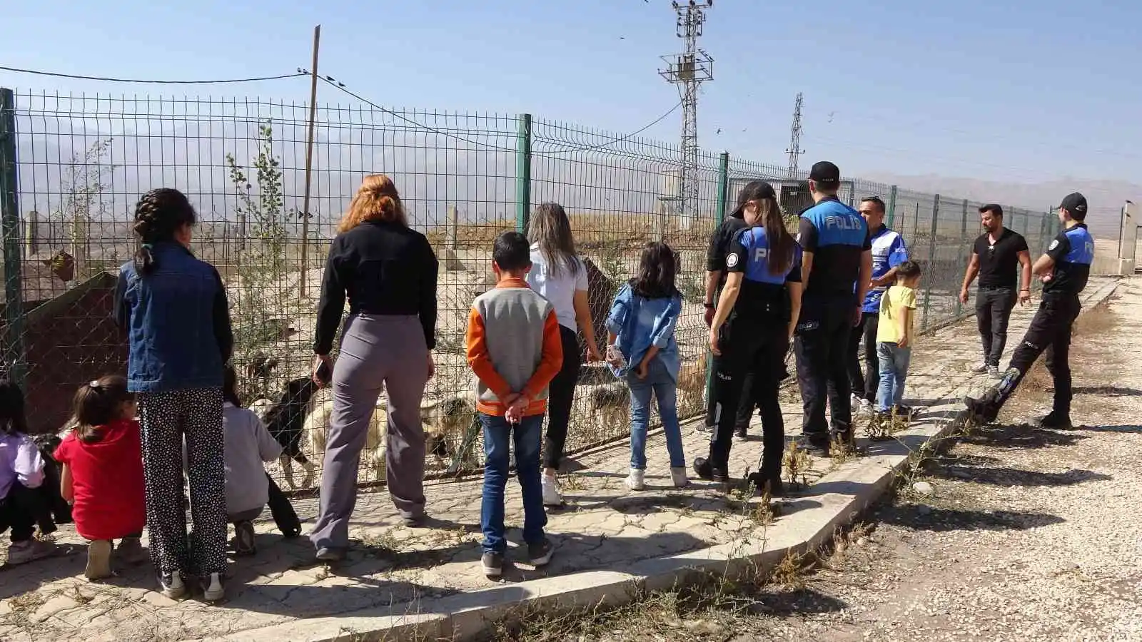 Yüksekova’da 4 Ekim Hayvanları Koruma Günü etkinliği
