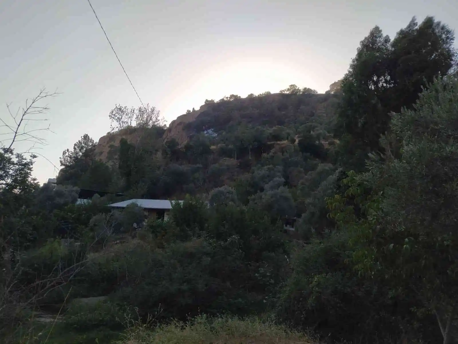 Zeytinlik alanda çıkan yangın büyümeden söndürüldü