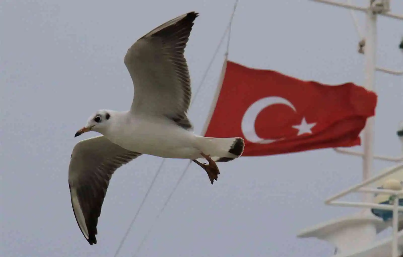 Akdeniz’de balıkçılara fırtına engeli, tekneler kıyıya yanaştı