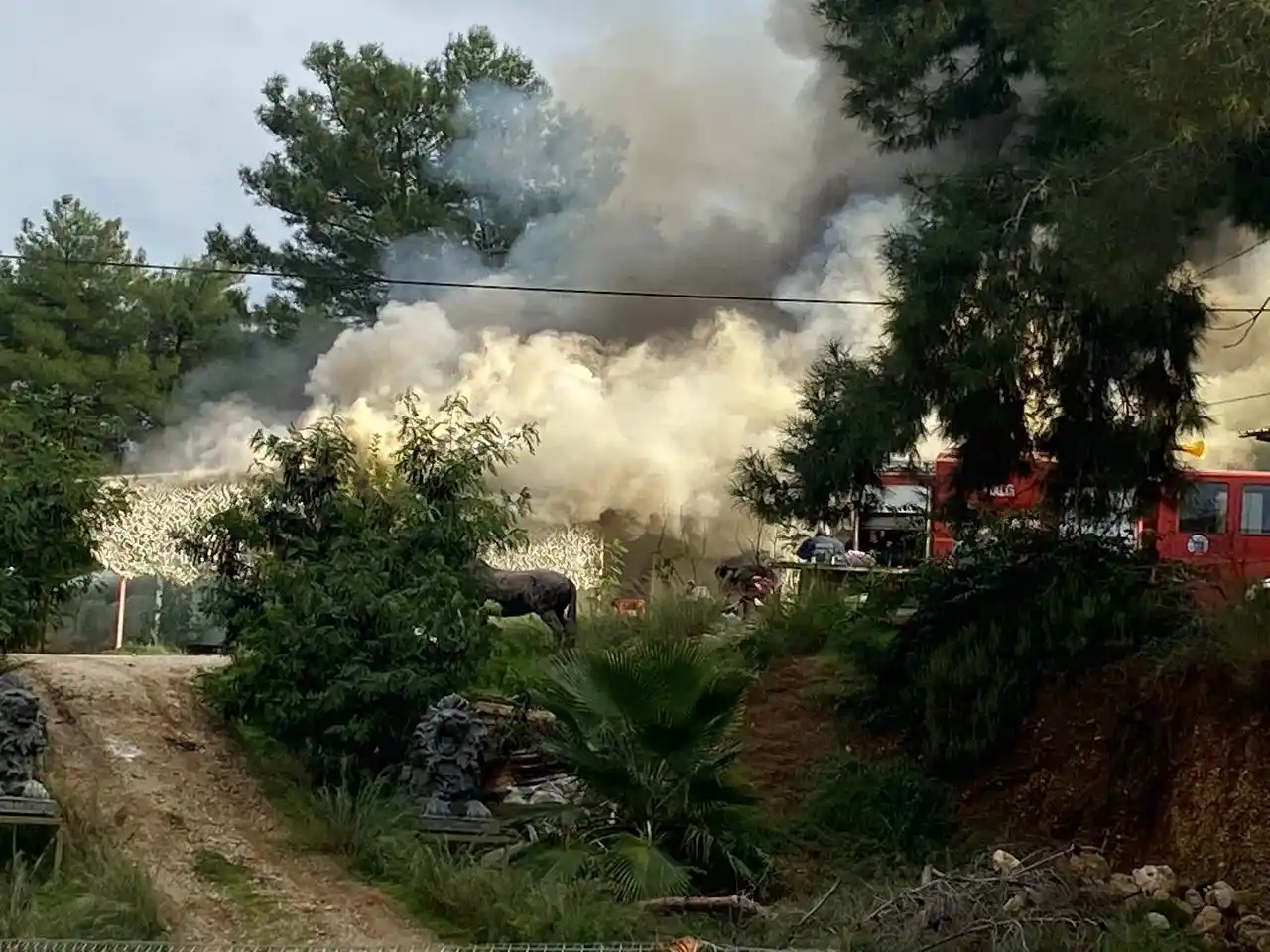 Antalya’da ormanlık alana yakın bölgede çıkan ev yangını korkuttu