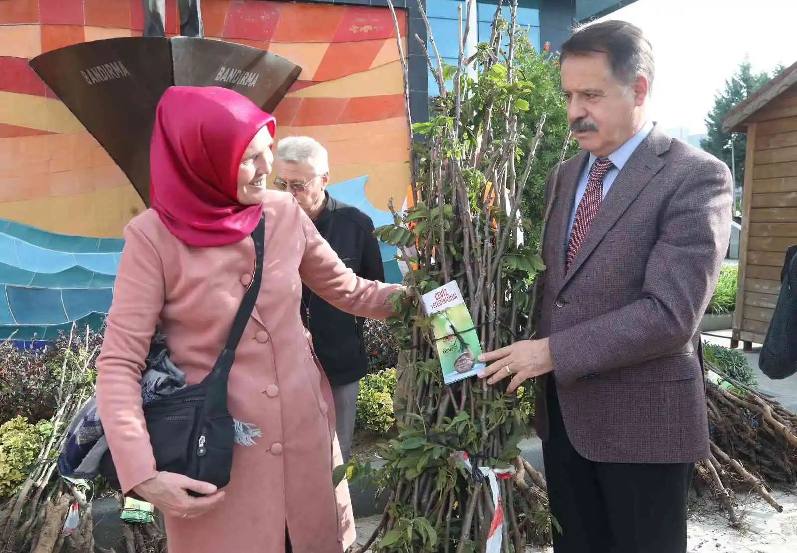 Atakum’da üreticiye ceviz fidanı desteği
