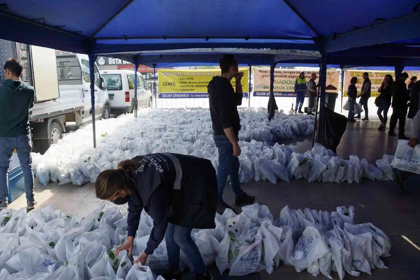 Aydın Büyükşehir Belediyesi, 100 bin sebze fidesi dağıttı