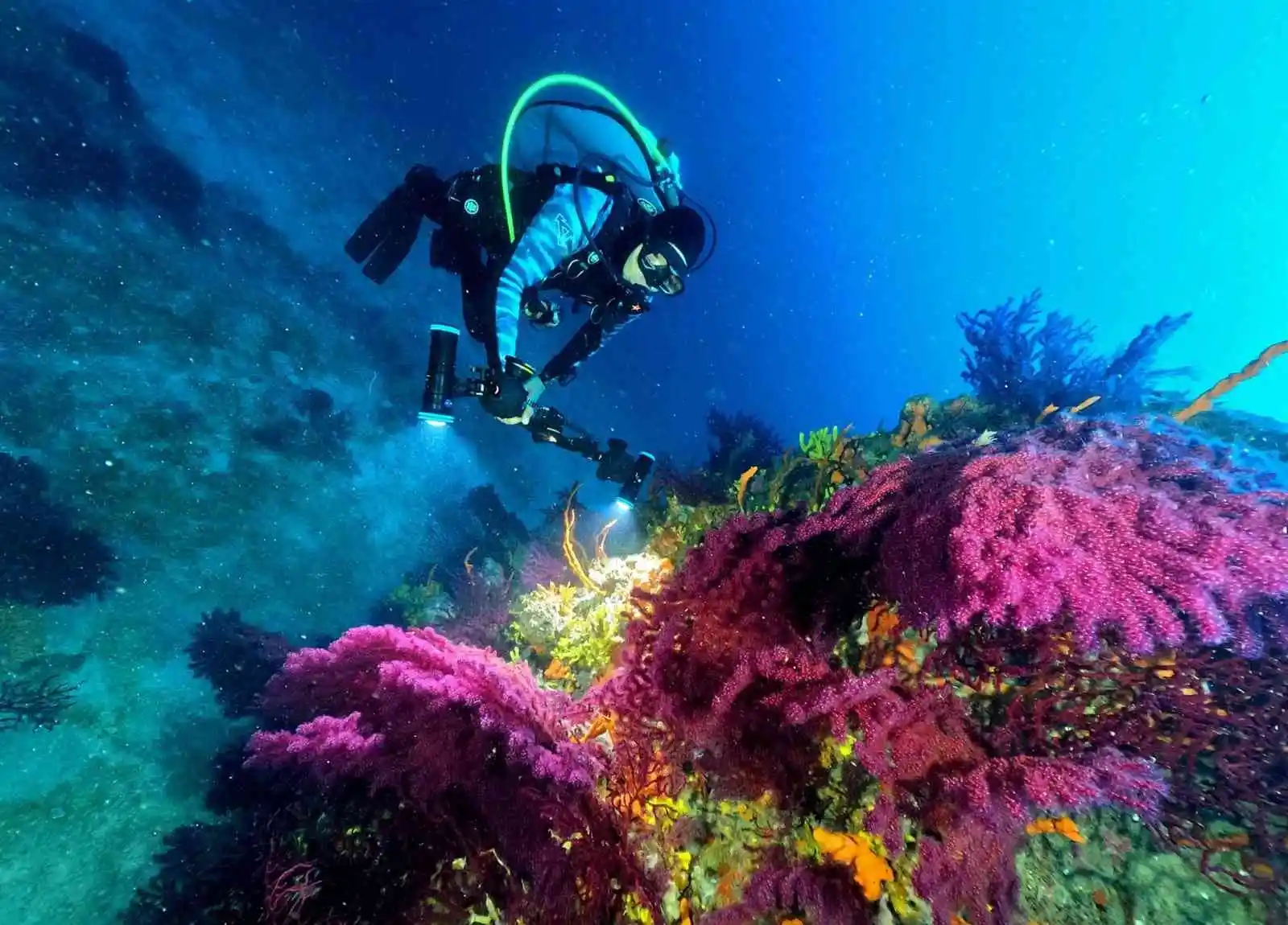 Ayvalık’ın kırmızı mercanları dünya turizmine açılıyor