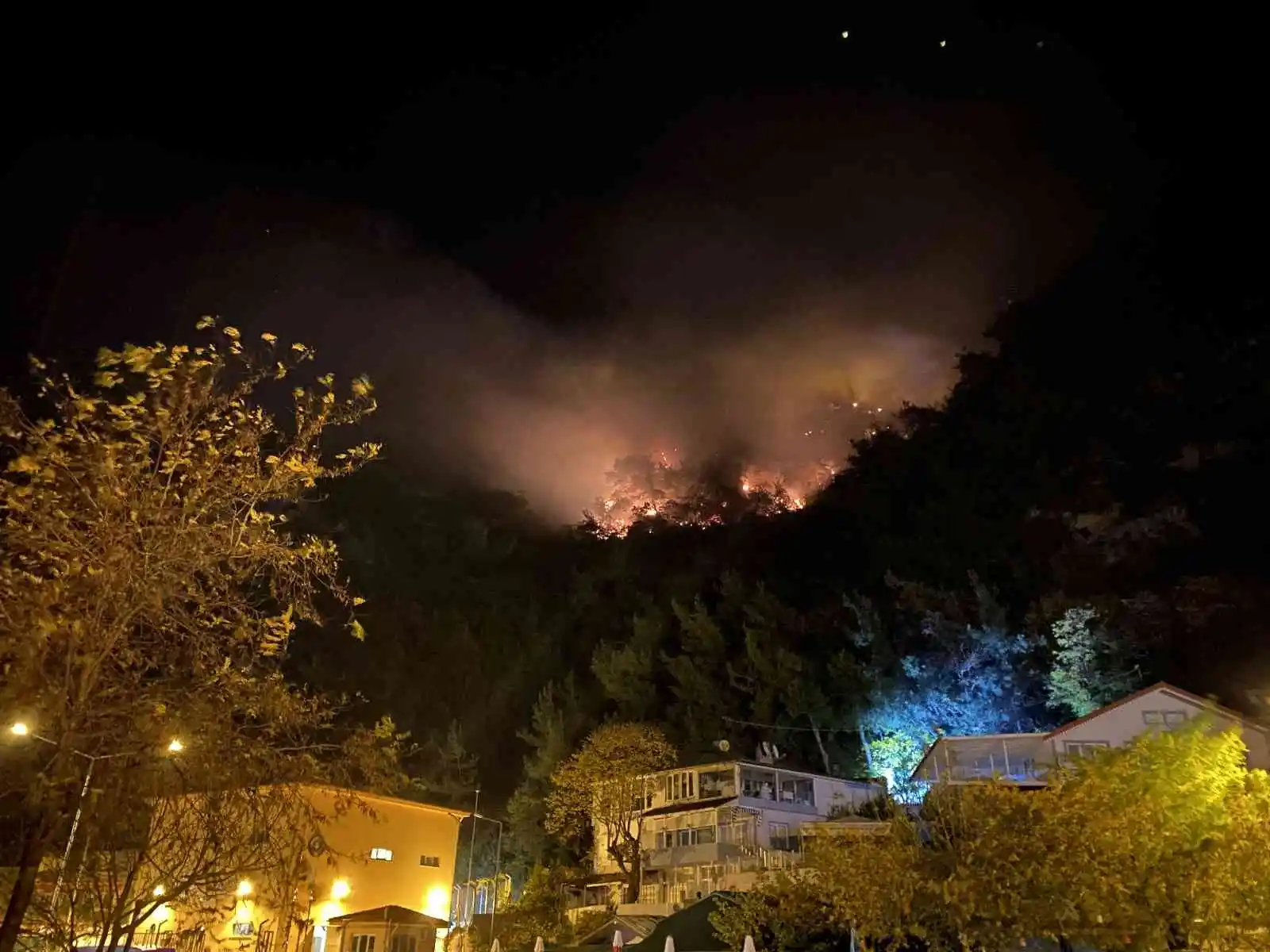 Bartın’da orman yangını: 4 kişi gözaltına alındı