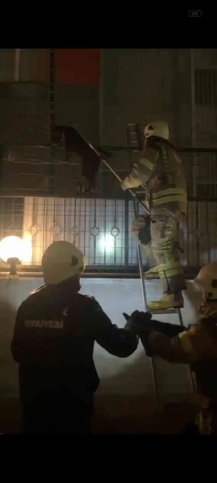 Beylikdüzü'nde tellere sıkışan köpeği kurtarmak için ekipler yoğun çaba harcadı